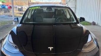 TESLA MODEL 3 2023 5YJ3E1EC4PF708352 image